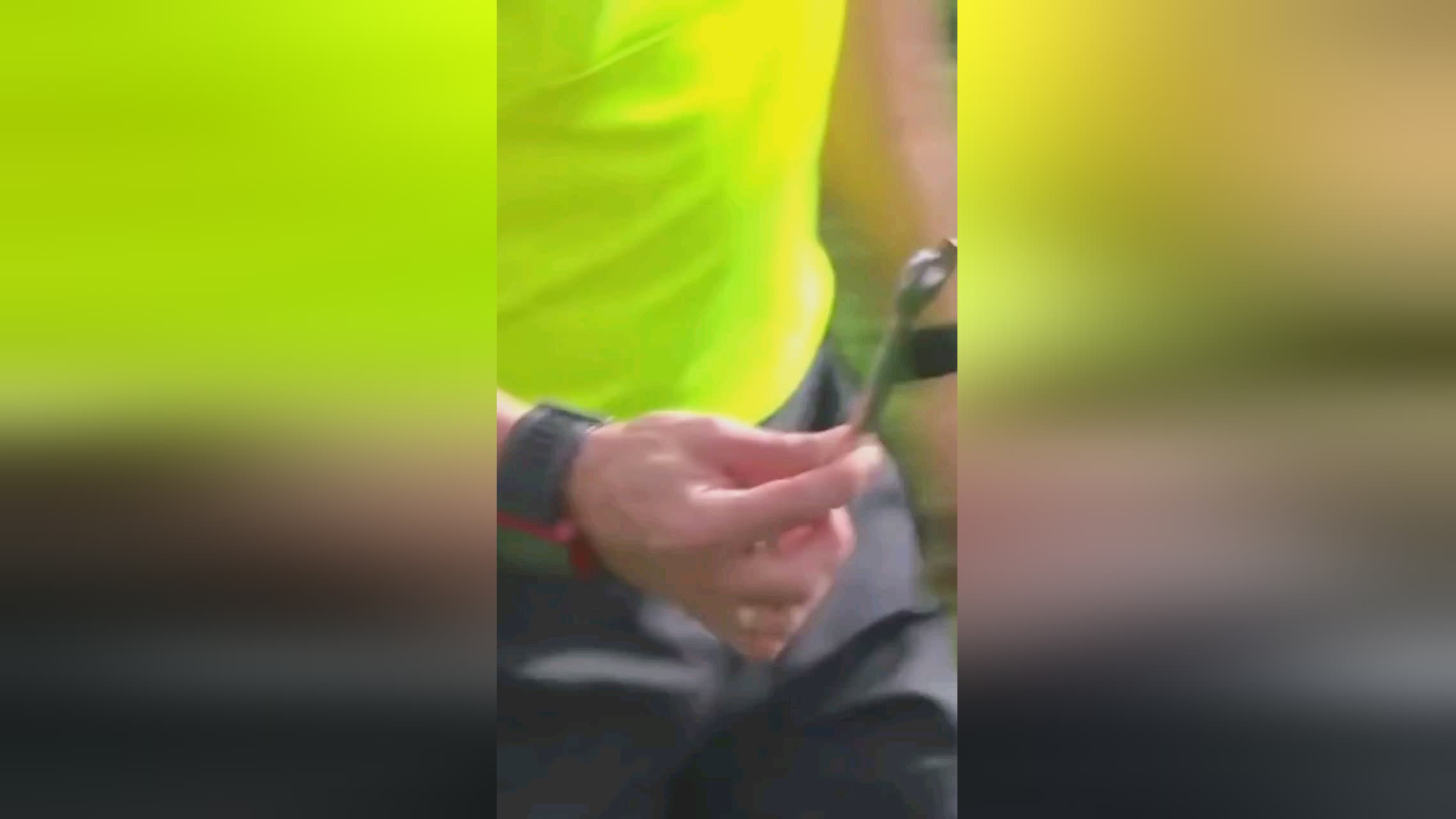 总结来